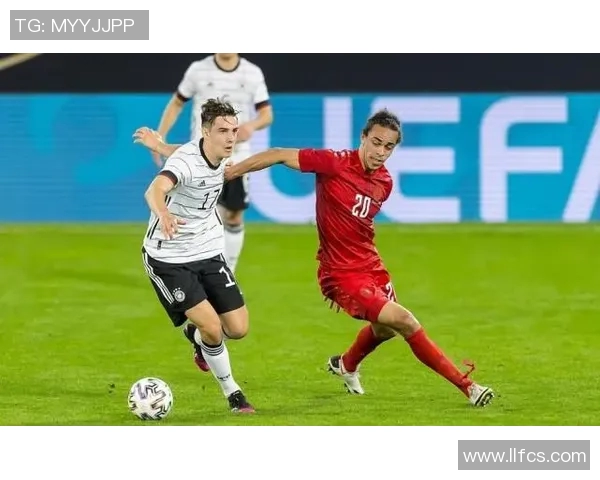 法国与丹麦对决盘口解析及投注建议分析